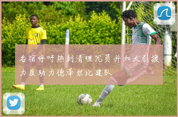 名宿呼吁热刺清理冗员并加大引援力度助力德泽尔比建队