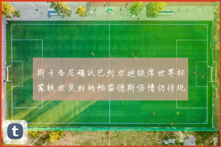 斯卡洛尼确认巴列尔迪缺席世界杯蒙铁尔莫利纳帕雷德斯伤情仍待观察