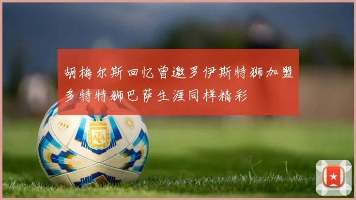 胡梅尔斯回忆曾邀罗伊斯特狮加盟多特特狮巴萨生涯同样精彩
