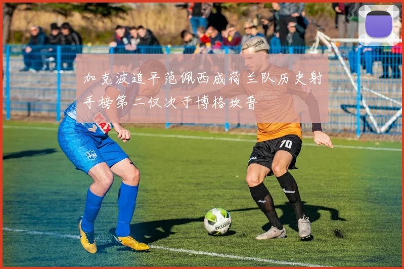 加克波追平范佩西成荷兰队历史射手榜第二仅次于博格坎普